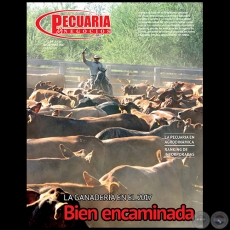 PECUARIA & NEGOCIOS - AÑO 14 NÚMERO 161 - REVISTA DICIEMBRE 2017 - PARAGUAY